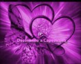 /album/prodotti-amore/farfalla-cuori-e-stella-filigrana-jpg/